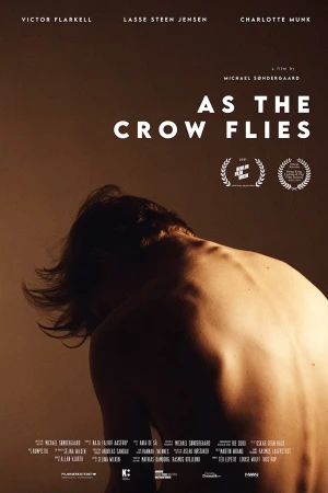 Đôi Cánh Tham Vọng - As The Crow Flies (2022)