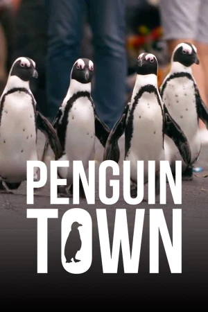 Thị trấn cánh cụt - Penguin Town (2021)